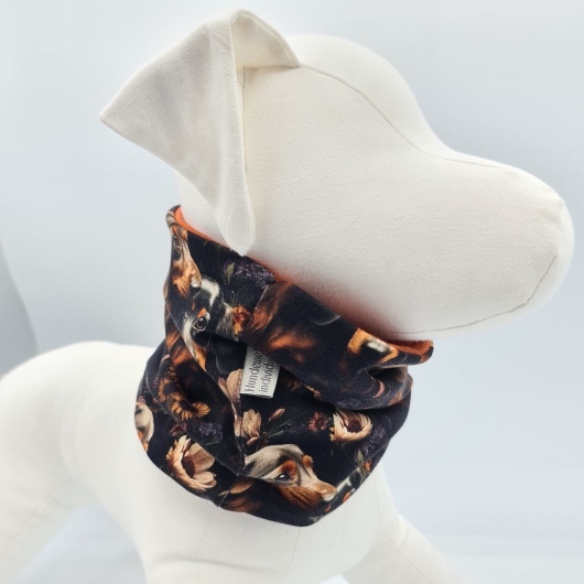 Loop für Hunde Dackel im Herbst
